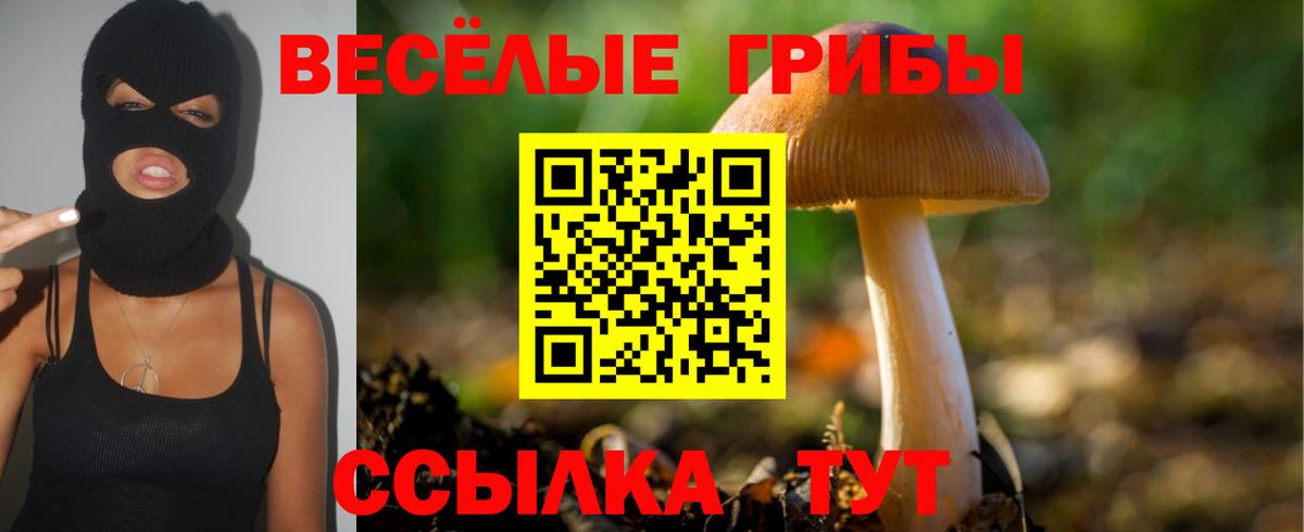 Котлас  Галлюциногенные грибы MAGIC MUSHROOMS  Вход с VPN 